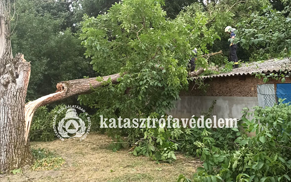 Az elmúlt hétvégén 7 tűzeset és 21 műszaki mentés adott munkát Tolna megye tűzoltóinak