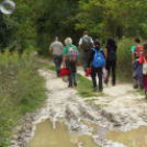 Jelzésfestés a Delta Turista Egyesülettel