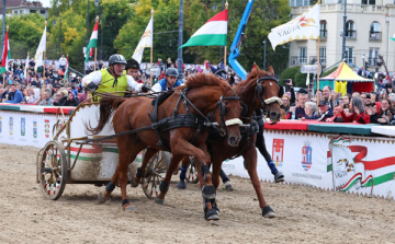 Tieger Endre és ifjabb Tieger Endre párosa nyerte a Kincsem plusz fogatvágtát 