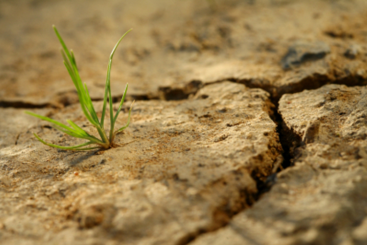 Szárazabb lesz a Kárpát-medence a jövőben
