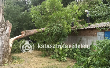 Az elmúlt hétvégén 7 tűzeset és 21 műszaki mentés adott munkát Tolna megye tűzoltóinak