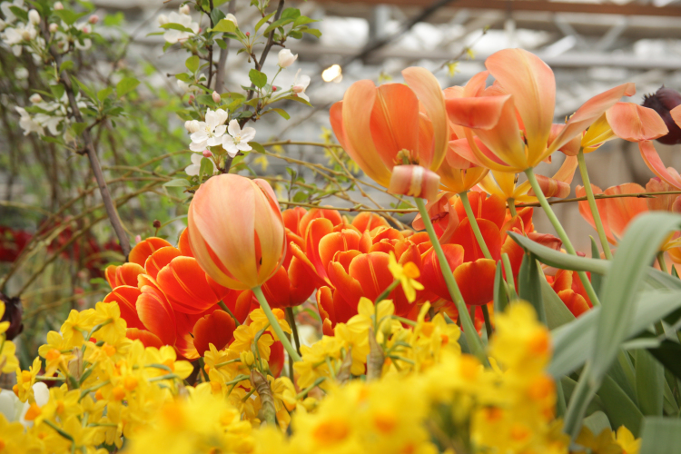 Színes tavaszi programokkal vár Dombóvár áprilisban