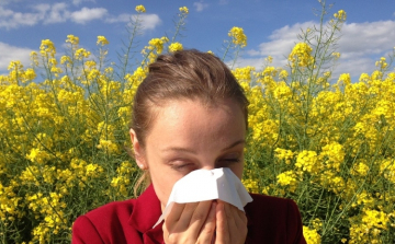 Egyre kisebb a pollenek szerepe az allergiában