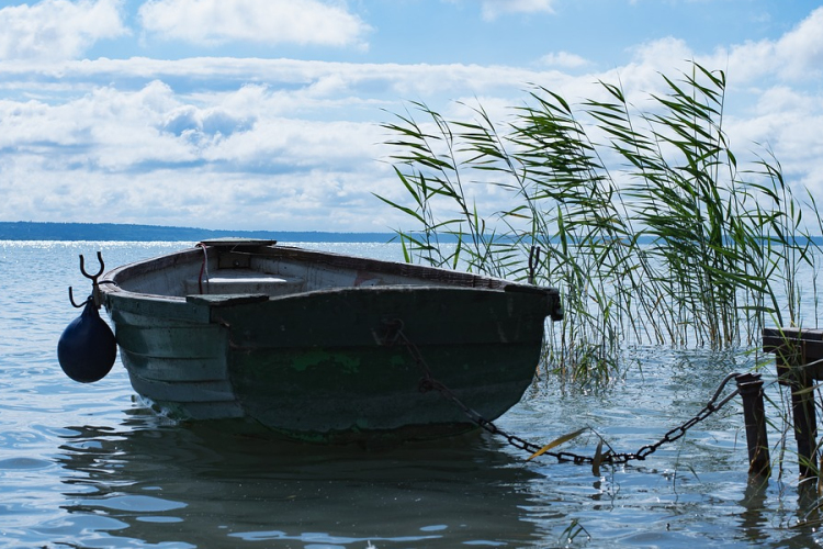 Négyszáz milliós élőhely-védelmi program indult a Balatonnál