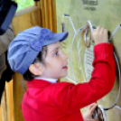 Felavatták Lengyel-Annafürdőn a Sasfészek-kilátót